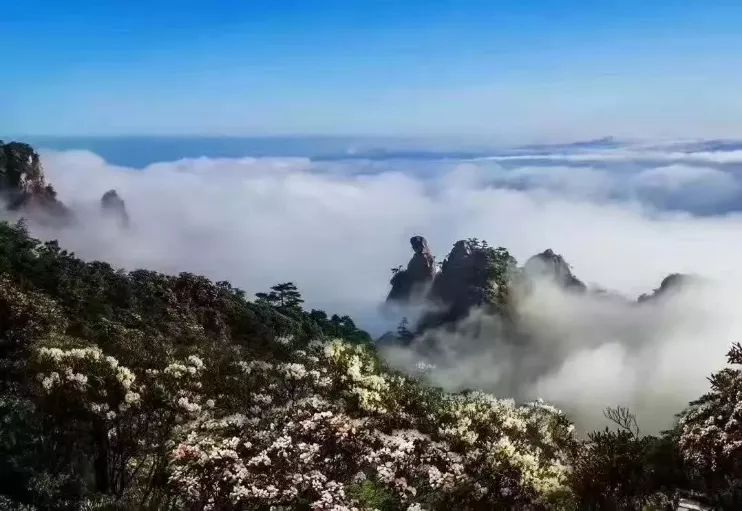 三清山最新索道时间，极速之旅，一览众山小壮美风光