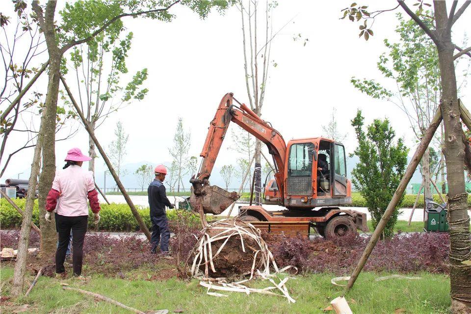 丰都久恒城最新房价动态及趋势分析